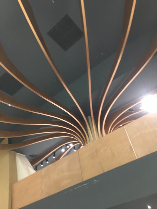 IMG 0372